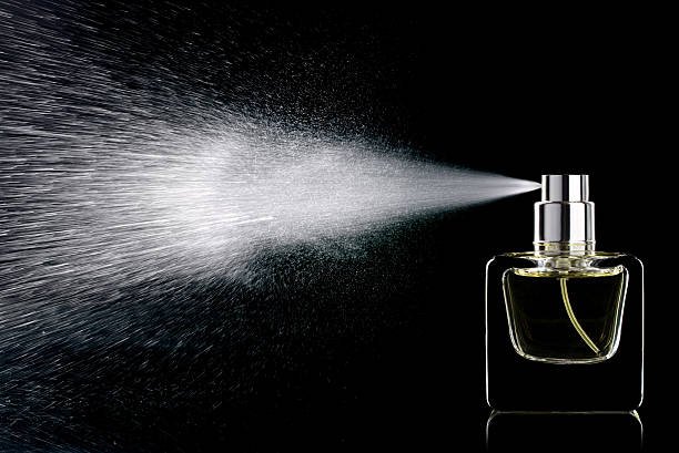 The Art of Fragrance—Understanding Perfume Notes